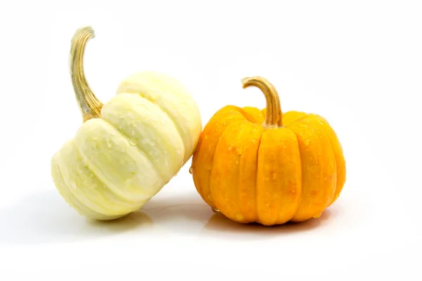 Yellow and white pumpkin — Stock Photo, Image
