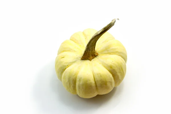 White pumkin — Stock Photo, Image