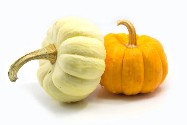 Yellow and white pumpkin. — Stock Photo, Image