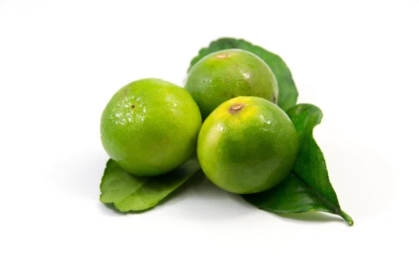 Листья лимона и каффира — стоковое фото