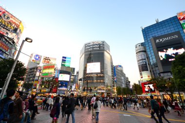 Shibuya alan tokyo, Japonya