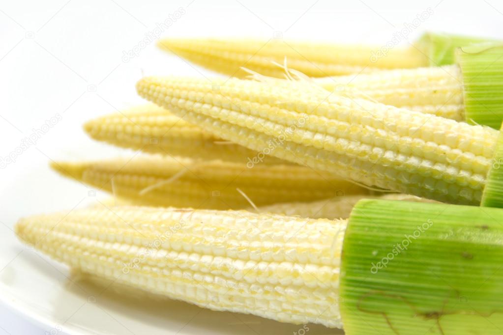 Baby corns on white background — Stock Photo © myubean 16192475