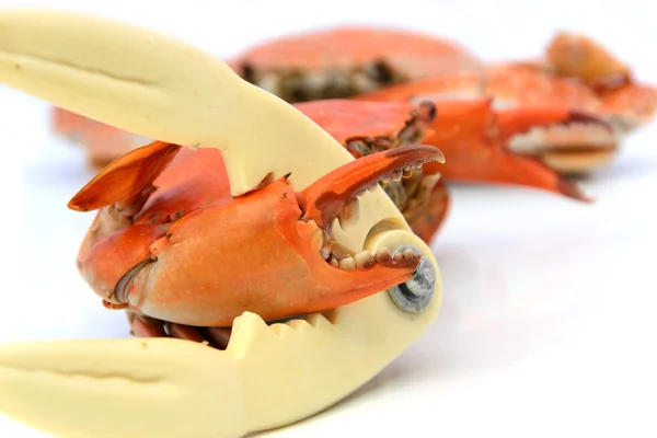 蟹饼干和煮熟的螃蟹 — 图库照片