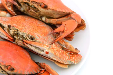 plaka üzerinde pişmiş Yengeç