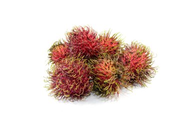 Rambutan bir meyvedir.