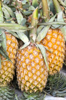 ananas, tropikal meyve Tayland