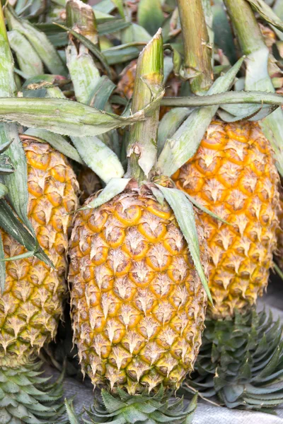ananas, tropikal meyve Tayland