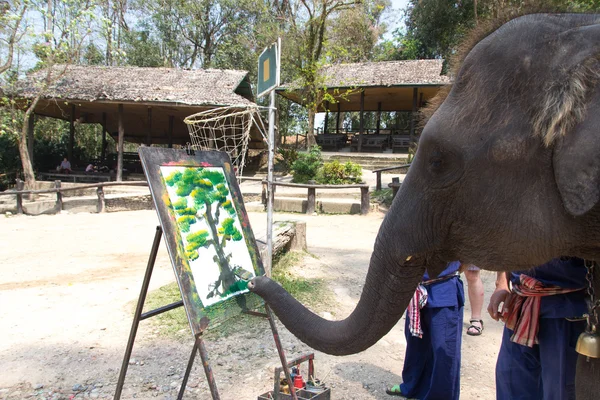 Elephant artist painting — Stock Photo, Image