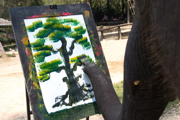 Elephant artist painting — Stock Photo, Image