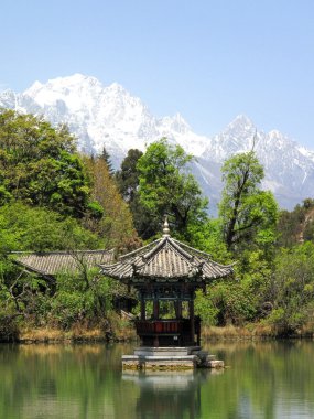 lijiang Çin havuzda siyah Ejder