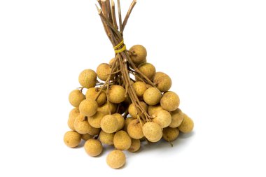 Beyaz arkaplanda longan