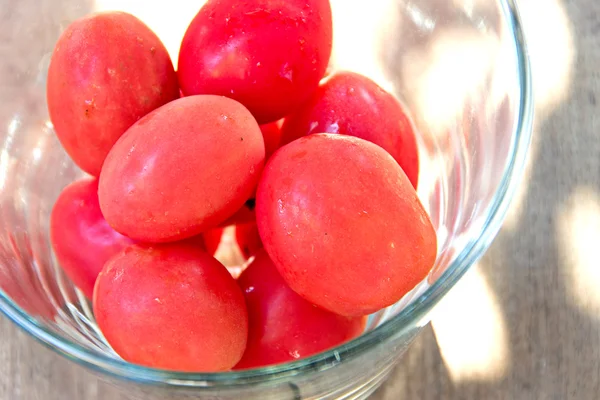 Rote Tomaten — Stockfoto