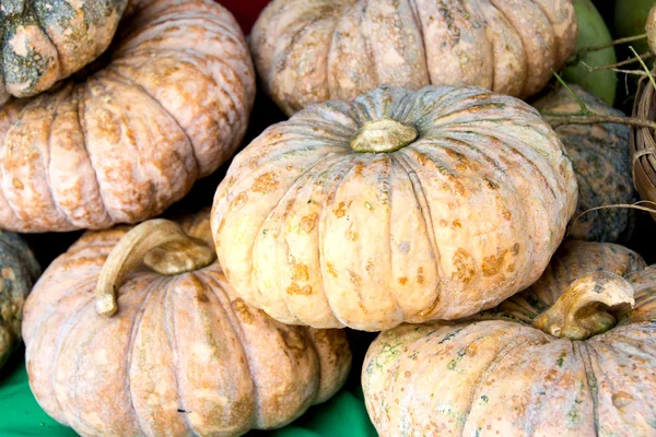 Thai pumpkins in the market — Stock Photo, Image