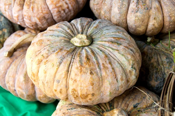 Thai pumpkins in the market — Stock Photo, Image