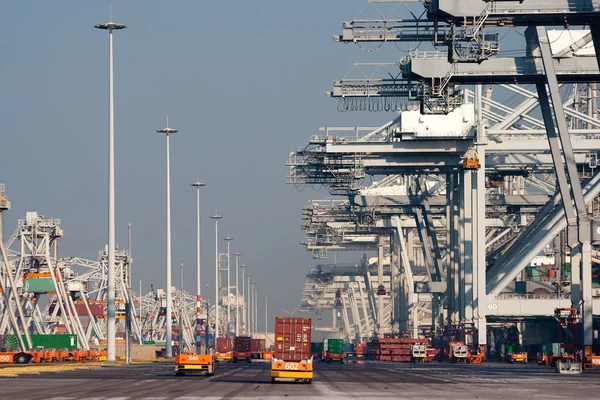 Porto del contenitore — Foto Stock