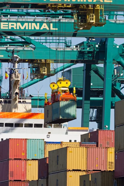 MSC Terminal — Stockfoto