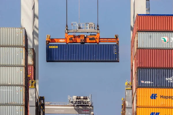 Operador Gruas Que Descarrega Contentor Marítimo Navio Carga Porto Roterdão — Fotografia de Stock