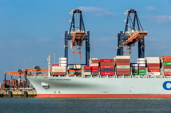 Crane Operator Unloading Sea Container Cargo Ship Port Rotterdam March — Stock Photo, Image