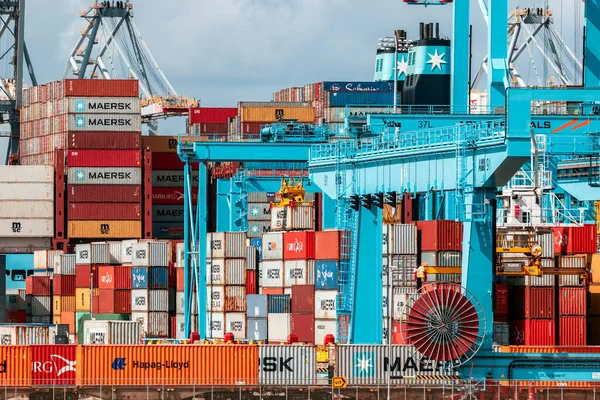 船舶集装箱在鹿特丹港新的Maasvlakte 2的Apm终点站移动 2019年9月8日 — 图库照片