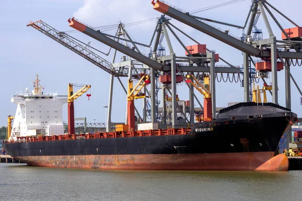 Nave Container Vuota Widukind Ormeggiata Nel Porto Rotterdam Paesi Bassi — Foto Stock