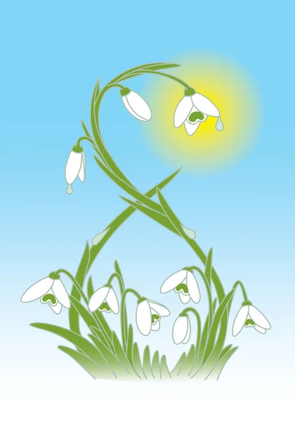 Snowdrops — Stock Vector