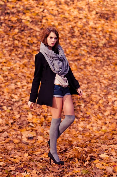 Ragazza nel parco di autunno — Foto Stock