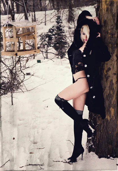 seksi sarışın kız kuş evi yakınlarında