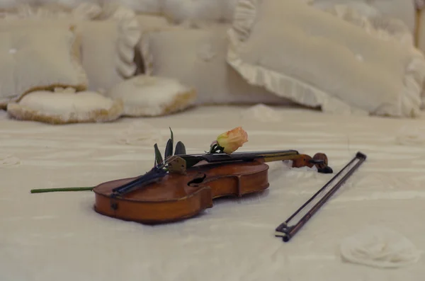 Violino barocco classico con rosa gialla fresca — Foto Stock