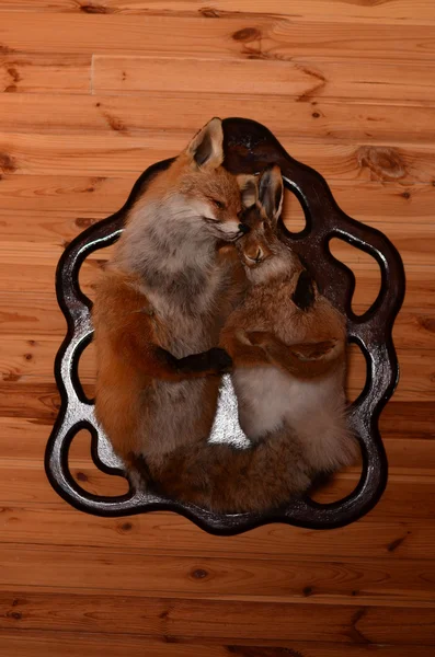 Uma raposa de pelúcia e um coelho — Fotografia de Stock