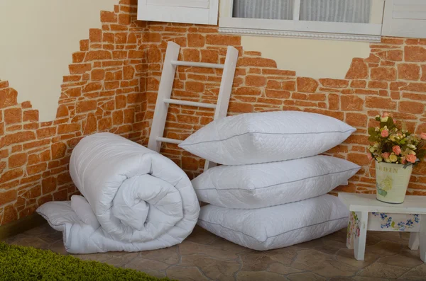 Poduszki w pobliżu domu — Zdjęcie stockowe