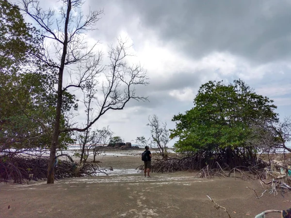 트래블러 아시안 여행자는 때죽은 나무와 구름낀 맹그로브 해변을 말레이시아 엔다우 — 스톡 사진