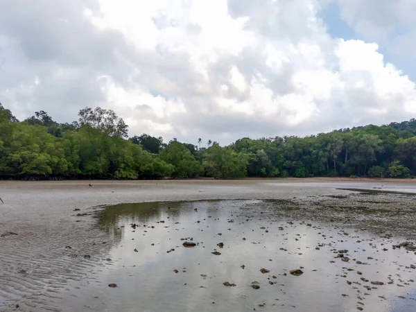 Sea beach at low tide with cloudy sky and mangrove rainforest background. Beautiful seascape view from sea and sand and shallow water with reflection at low tide period, Endau, Malaysia
