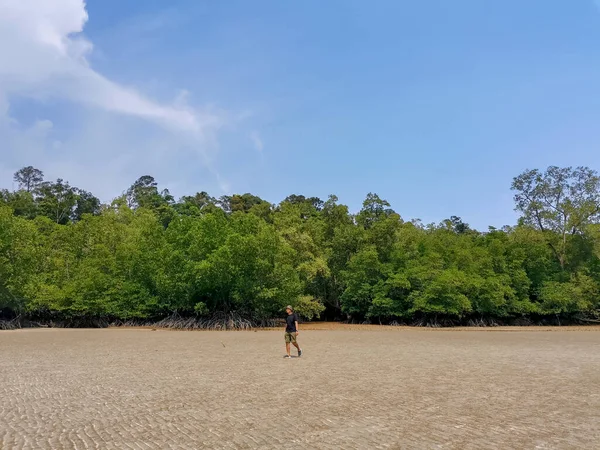 干潮時の間にマングローブの森の背景と砂浜を歩く男性アジアの旅行者 旅行ライフスタイルの冒険の概念 マレーシアのエンダウで夏の日の自然旅行 — ストック写真