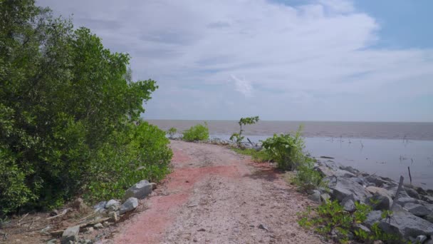 Caminho Terra Frente Mar Azul Fora Estrada Beira Mar Perto — Vídeo de Stock