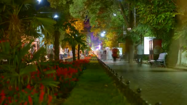 Tidsinställd strosa längs boulevarden på natten — Stockvideo