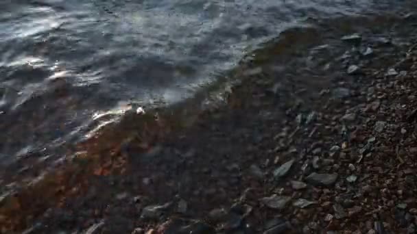 Reggeli hullámok a parton bokeh-al — Stock videók