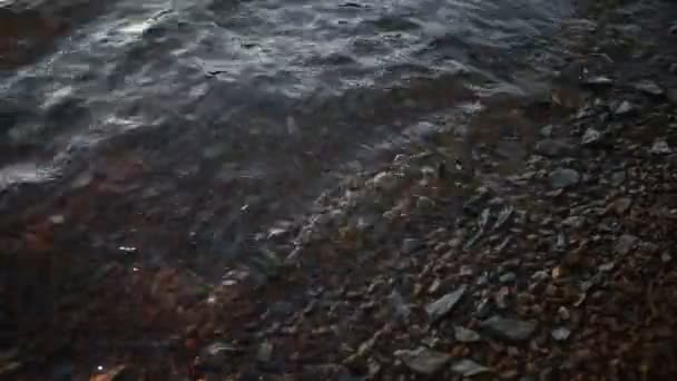 Πρωινά κύματα στην ακτή με bokeh — Αρχείο Βίντεο