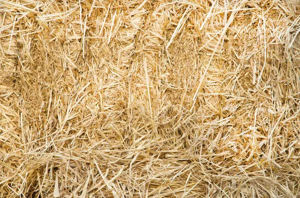 Straw background — Stock Photo, Image