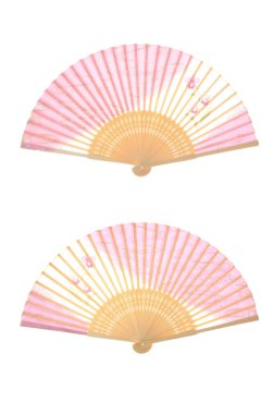 Japon katlama hayranları