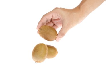 kivi elinde beyaz zemin üzerine