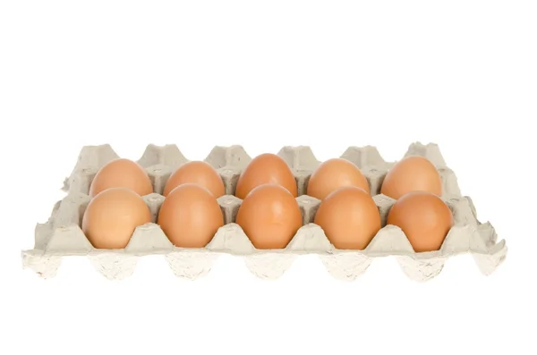 Φρέσκα αυγά στο κιβώτιο χαρτοκιβωτίων — Φωτογραφία Αρχείου