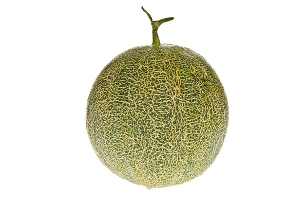 Melon cantaloupe — Stok Foto