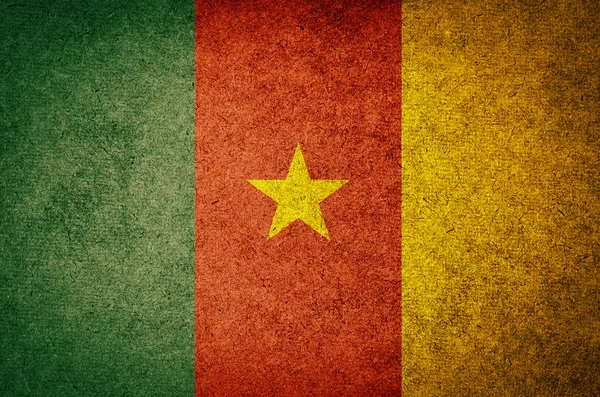 Flagge von Kamerun — Stockfoto