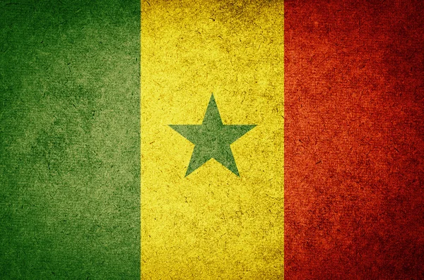 Senegal Cumhuriyeti bayrağı — Stok fotoğraf