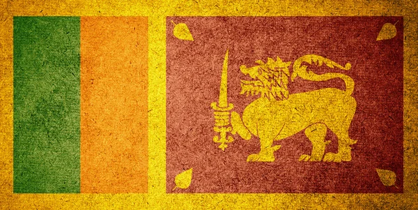 Grunge Flag of Sri Lanka — Stock Photo, Image