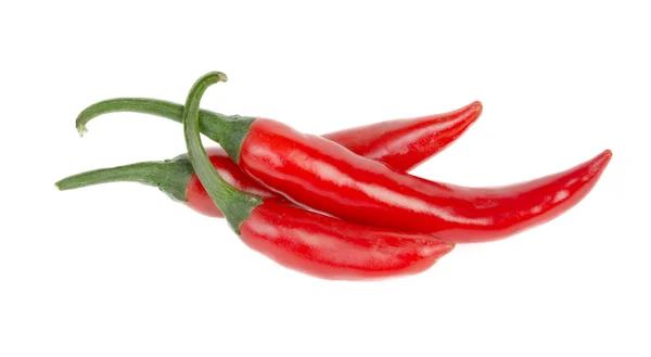 Červené chilli papričky — Stock fotografie