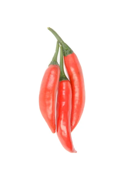 Red chili peppers — Stock Photo, Image