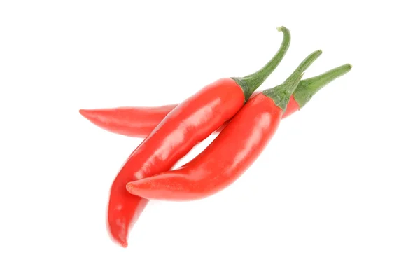 Rote Chilischoten — Stockfoto