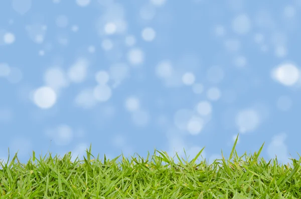 Grass and blurring background — Stock Photo, Image
