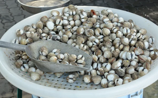 Fresh cockles for sale at a market — Stock Photo, Image